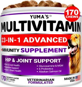 Dog Multivitamin Chewable with Glucosamine Dog Vitamins and Supplements 170 Treats Senior & Puppy Multivitamin for Dogs Hip & Joint Support Immune Hea